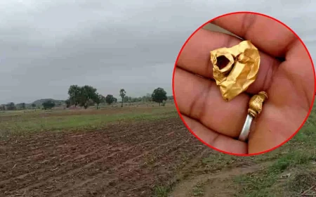 బంగారం దొరికే సాగు భూమి.. కౌలుకు పోటీ పడుతున్న రైతులు