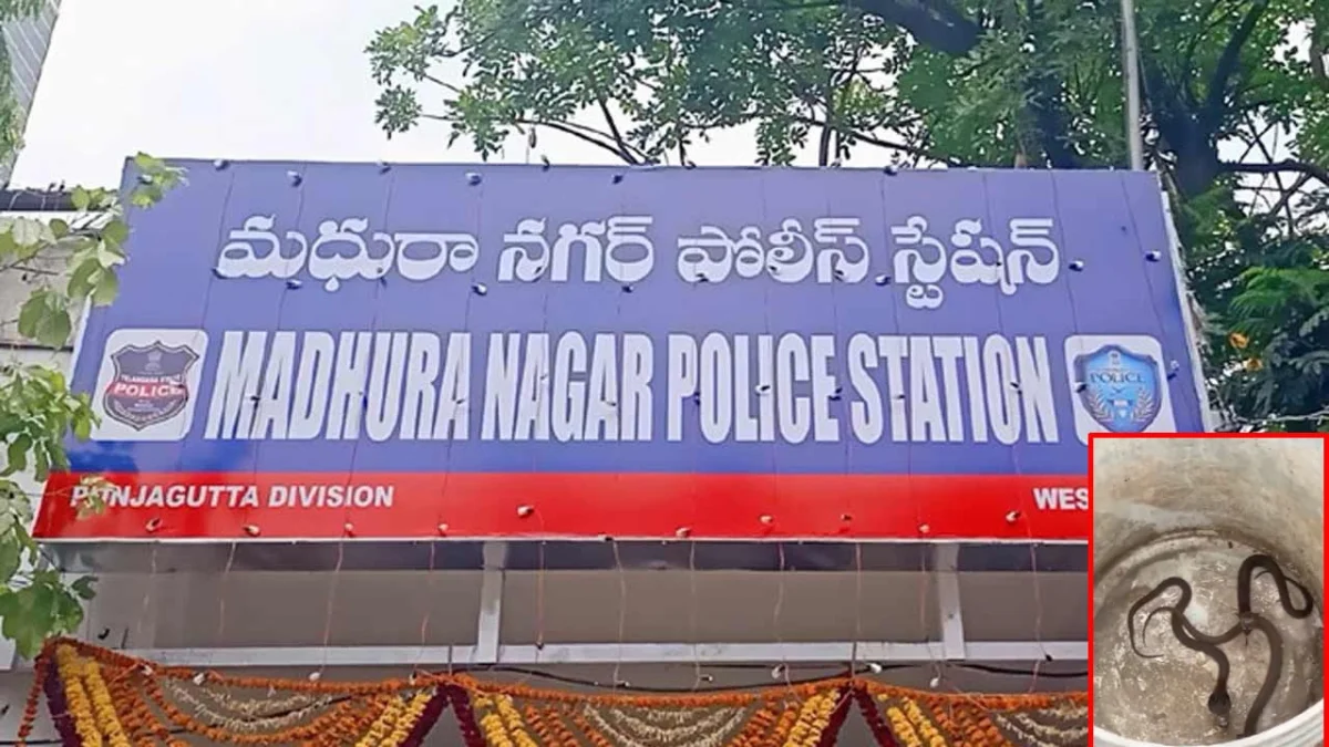 మధురానగర్ పోలీస్ స్టేషన్‌లో నాగుపాముల కలకలం..