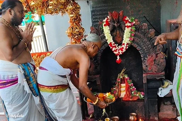 14 గంటల్లోనే ఆంజనేయస్వామి విగ్రహం స్వాధీనం.. శాస్త్రోక్తంగా తిరిగి ప్రతిష్ఠించిన టీటీడీ