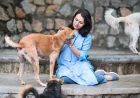 మనసును కలిచివేసిన ఘటన.. అమల సినిమాలకు గుడ్‌బై చెప్పిన అసలు రీజన్ ఇదే!