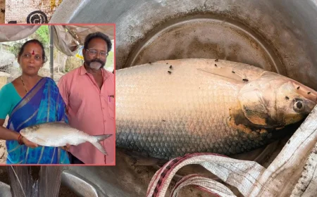 ఆయ్.. గోదారోళ్ల దిల్ కుష్.. తొలి పులస రూ.14,500!