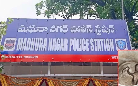 మధురానగర్ పోలీస్ స్టేషన్‌లో నాగుపాముల కలకలం..