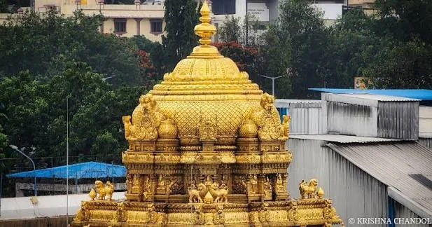 శ్రీవారి తొలి ఆలయాన్ని ఎవరు నిర్మించారు? నేటి తిరుమల వైభవం వెనుక ఎవరి సేవ ఉంది?