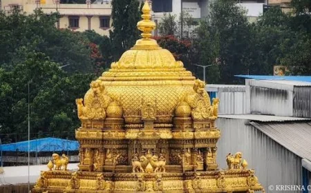 శ్రీవారి తొలి ఆలయాన్ని ఎవరు నిర్మించారు? నేటి తిరుమల వైభవం వెనుక ఎవరి సేవ ఉంది?